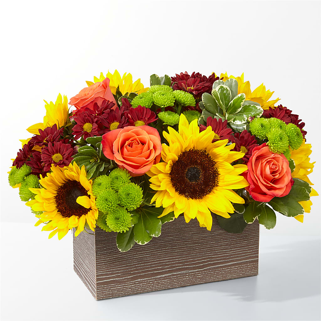 Happy Harvest Garden – Seaside Stems, Old Saybrook CT