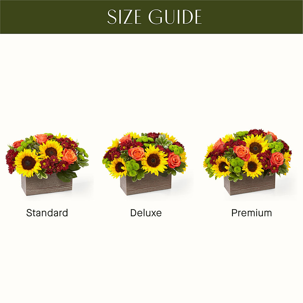 Happy Harvest Garden – Seaside Stems, Old Saybrook CT
