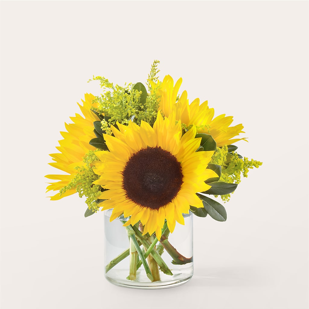 Beaming Sunflower Bouquet – Seaside Stems, Old Saybrook CT