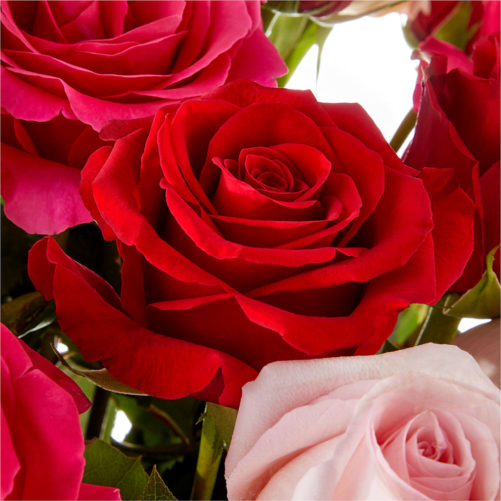 Love Notes Rose Bouquet – Seaside Stems, Old Saybrook CT