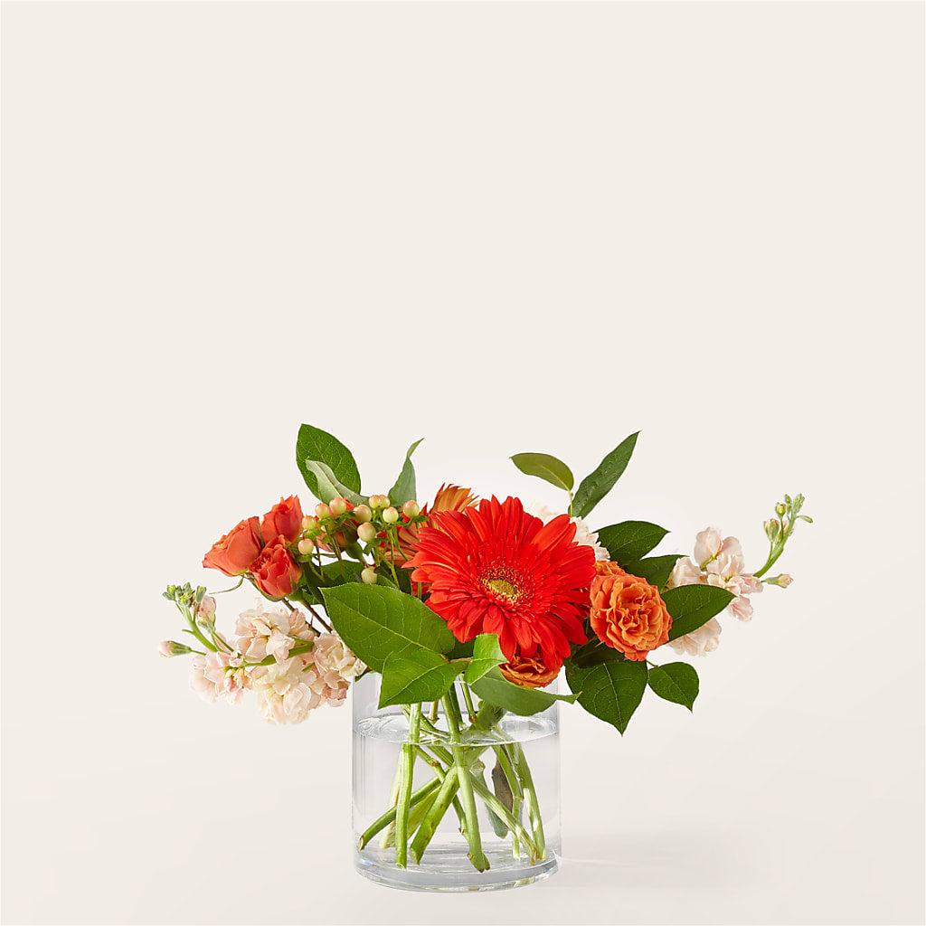 Paloma Please Bouquet – Seaside Stems, Old Saybrook CT