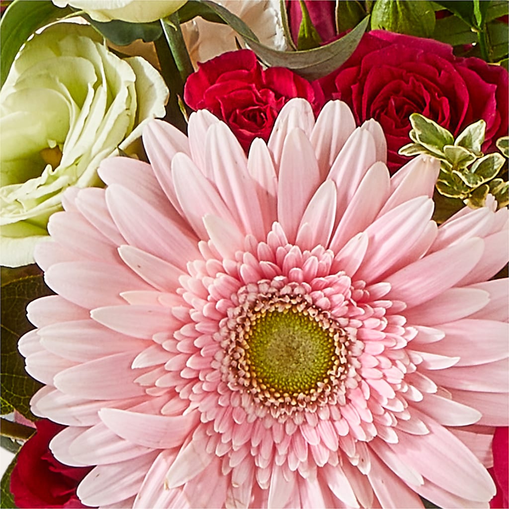 Too Cute Bouquet –  Seaside Stems, Old Saybrook CT