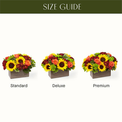 Happy Harvest Garden –  Seaside Stems, Old Saybrook CT