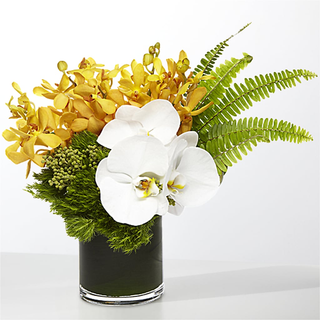 The Tropics –  Seaside Stems, Old Saybrook CT