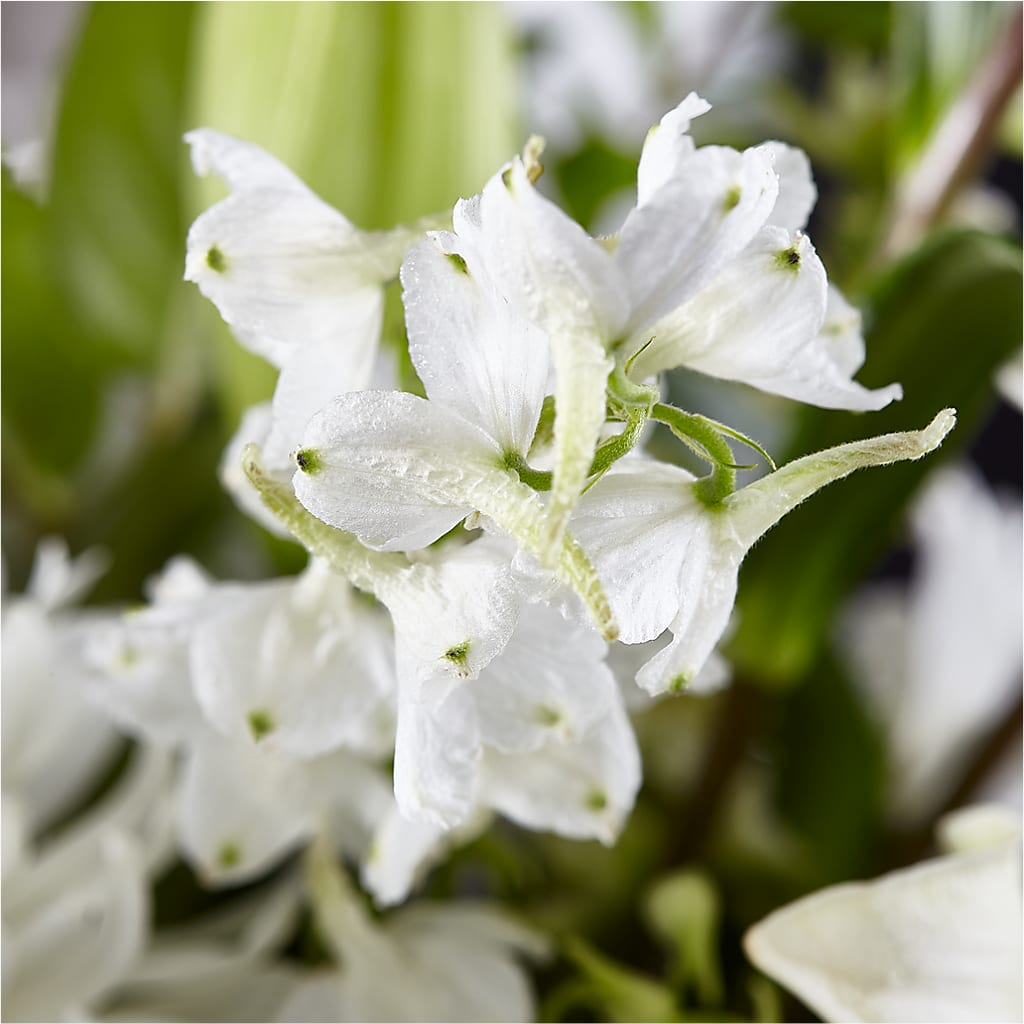 Classic Ivory – A Florist Original –  Seaside Stems, Old Saybrook CT