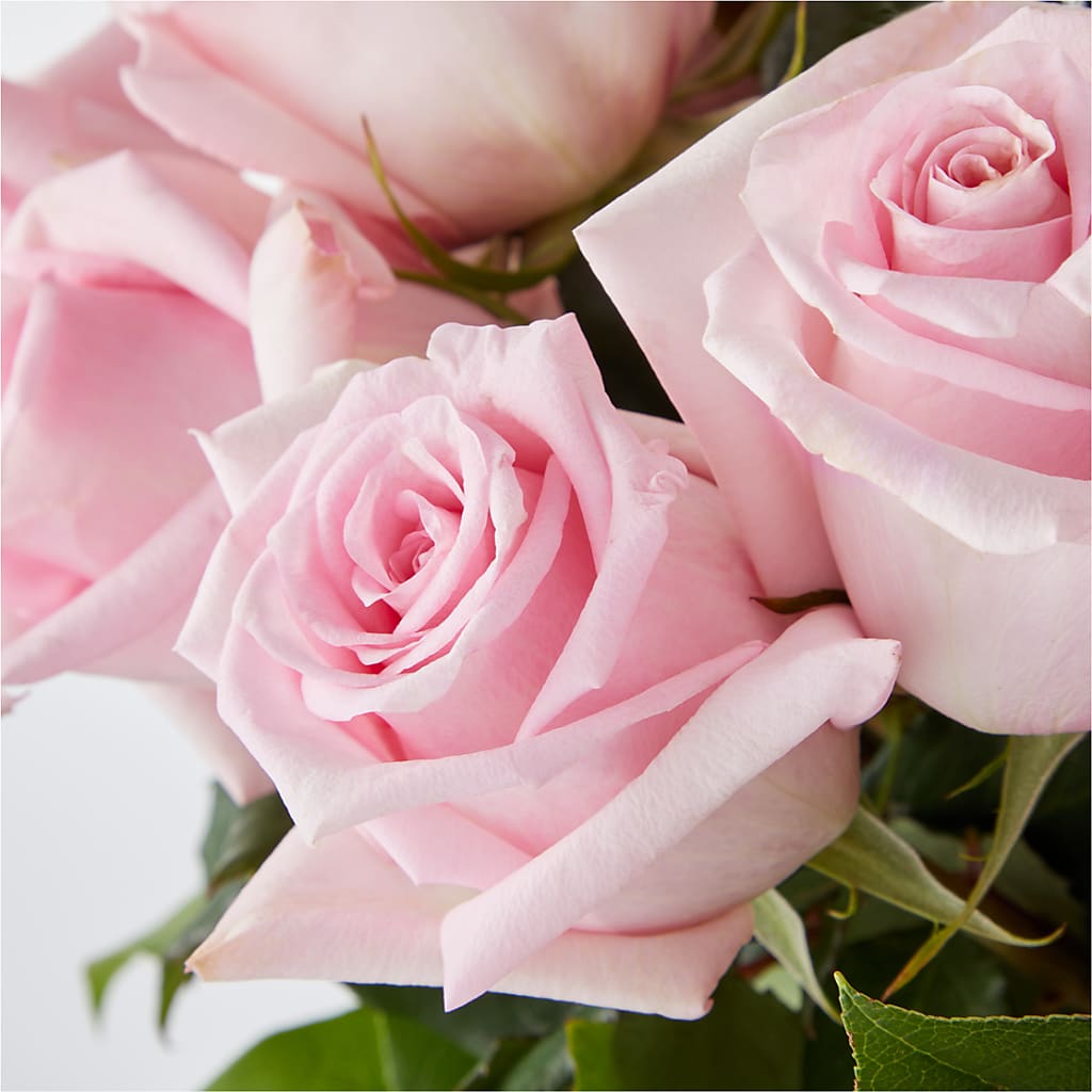 Picture Perfect Pink Rose Bouquet –  Seaside Stems, Old Saybrook CT