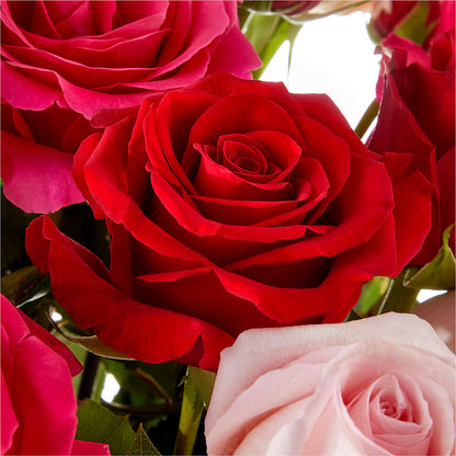 Love Notes Rose Bouquet –  Seaside Stems, Old Saybrook CT