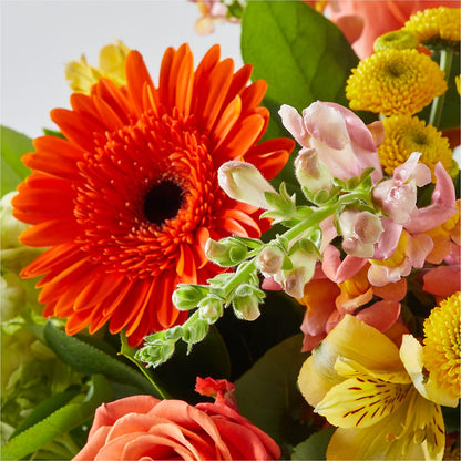 Autumn Sunshine Bouquet –  Seaside Stems, Old Saybrook CT