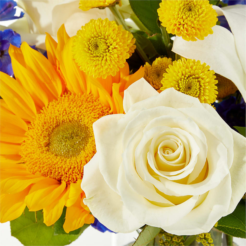 Stargazing Bouquet –  Seaside Stems, Old Saybrook CT