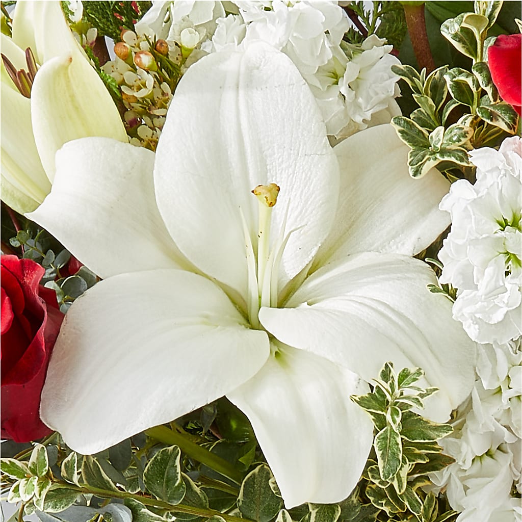Twinkle Lights Bouquet –  Seaside Stems, Old Saybrook CT