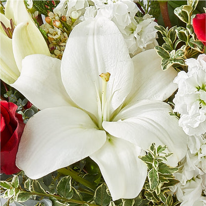 Twinkle Lights Bouquet –  Seaside Stems, Old Saybrook CT