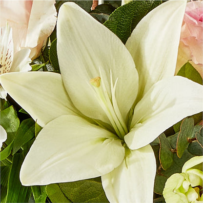Ballet Slippers Bouquet –  Seaside Stems, Old Saybrook CT