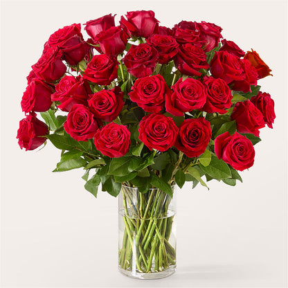 The One Red Rose Bouquet –  Seaside Stems, Old Saybrook CT