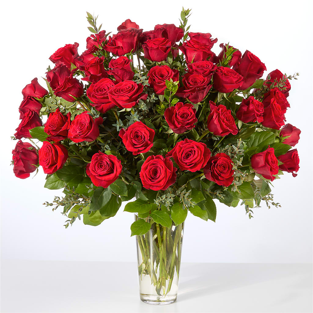 Forever Yours Fifty Stem Red Rose Bouquet –  Seaside Stems, Old Saybrook CT
