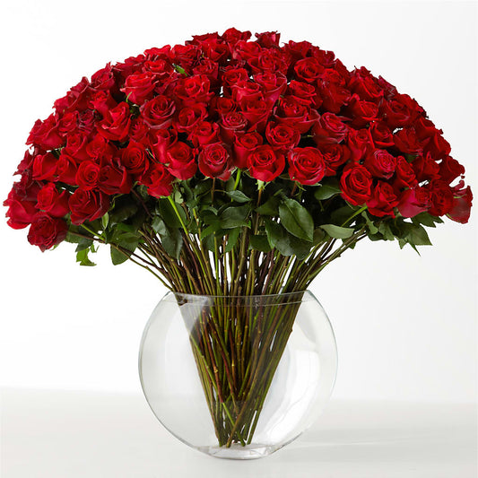 The Idealist –  Seaside Stems, Old Saybrook CT