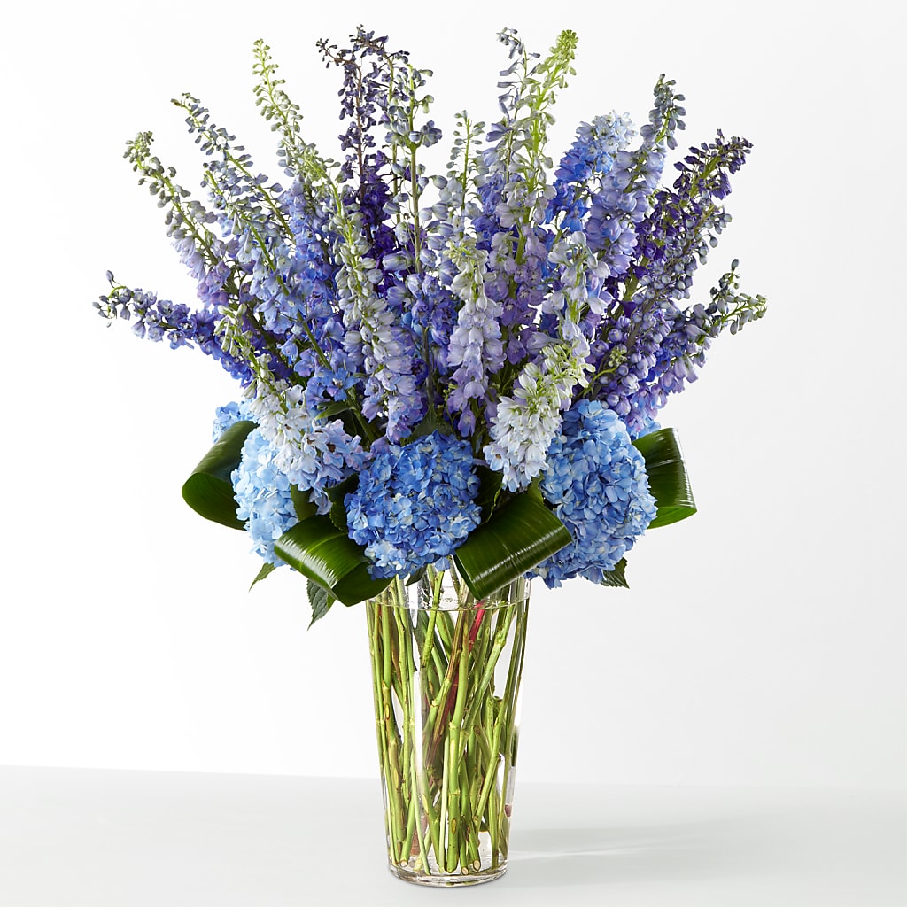 The Editorial –  Seaside Stems, Old Saybrook CT